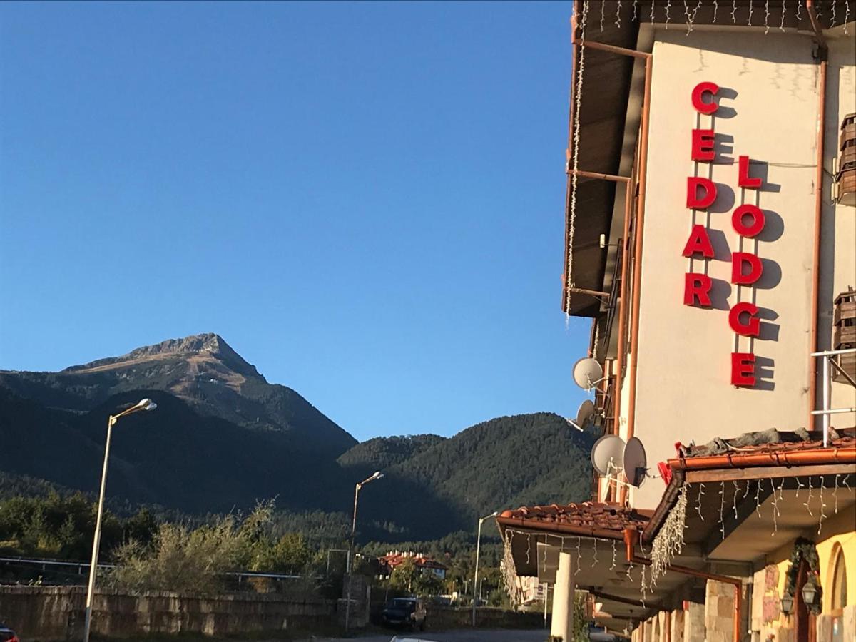 Ski Zone At Gondola, Perfect One Bdrm, Fast Wifi, Netflix, Quiet, Warm Bansko Eksteriør bilde