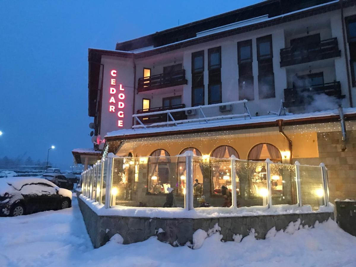 Ski Zone At Gondola, Perfect One Bdrm, Fast Wifi, Netflix, Quiet, Warm Bansko Eksteriør bilde